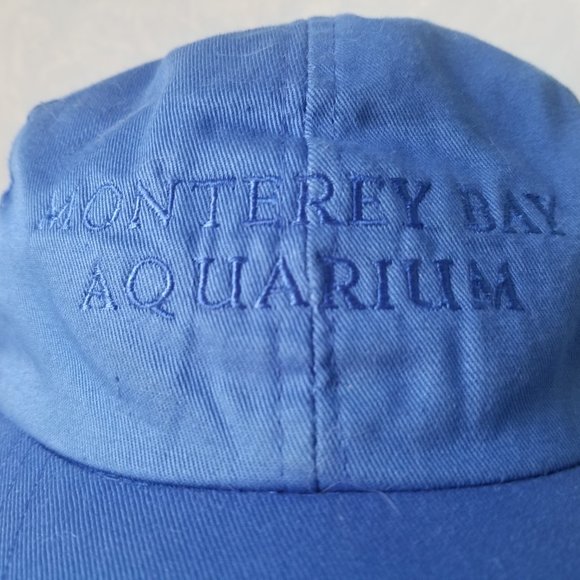 Blue Cap - Picture 2 of 6